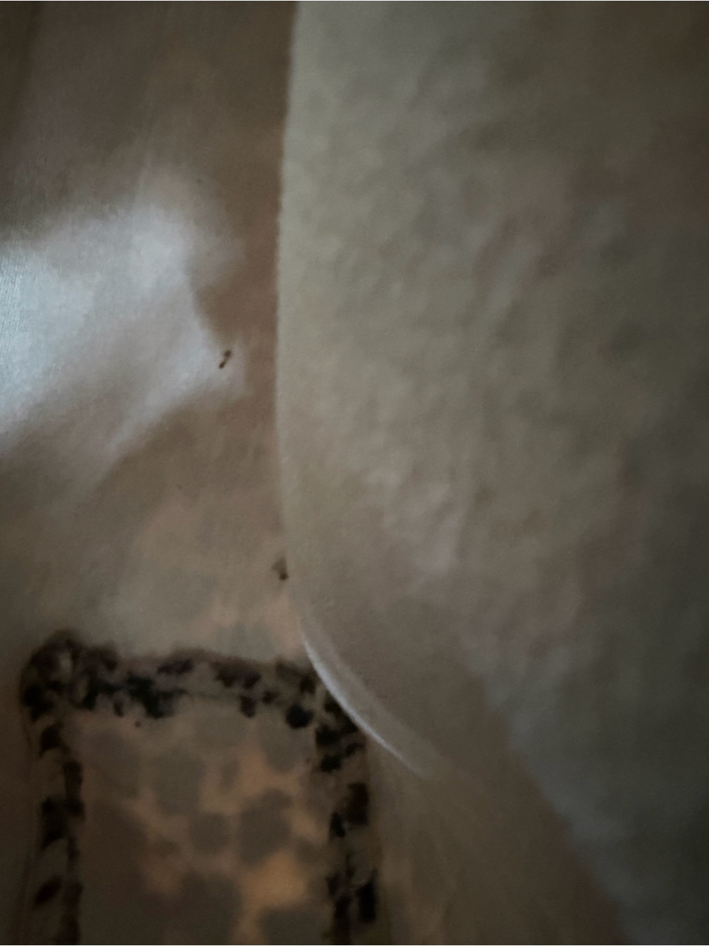 Gentil Coquelicot Leopard Sherpa Tote - Picture 3 of 3